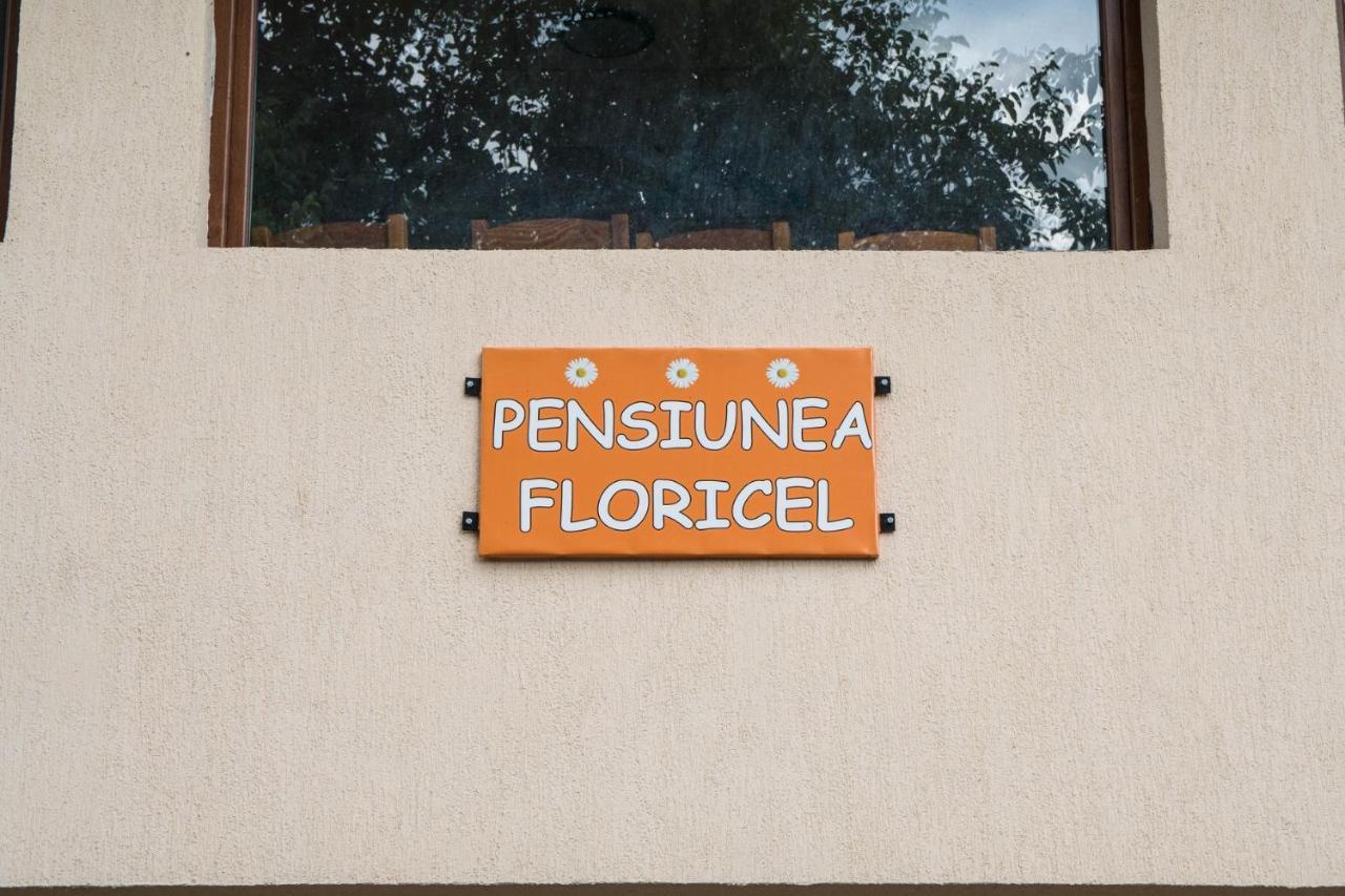 Pensiunea Floricel Stoenesti  Exterior photo